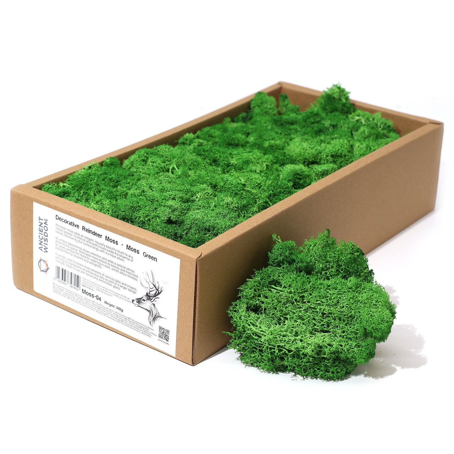 Quality Decoration Reindeer Moss - Moss Green - 635g Box