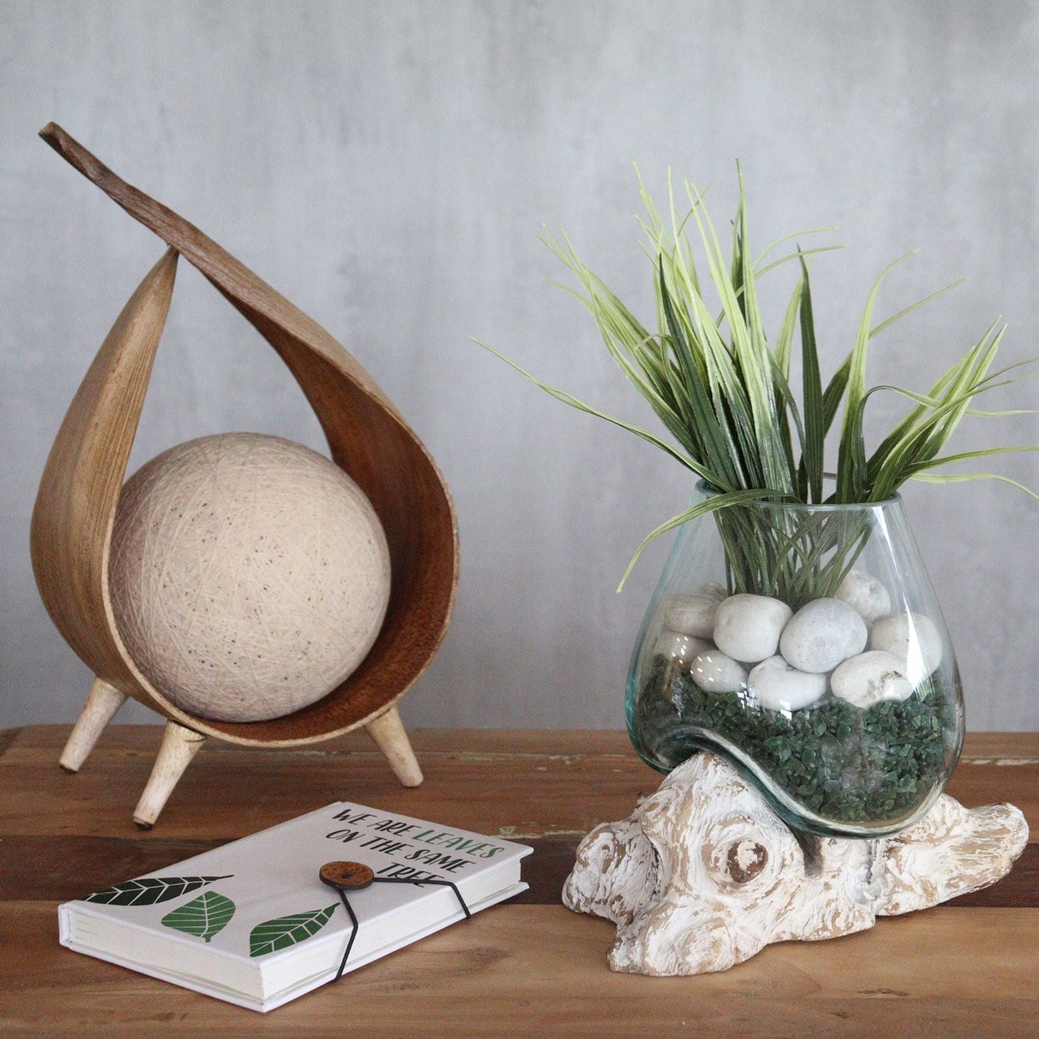 Home & Garden