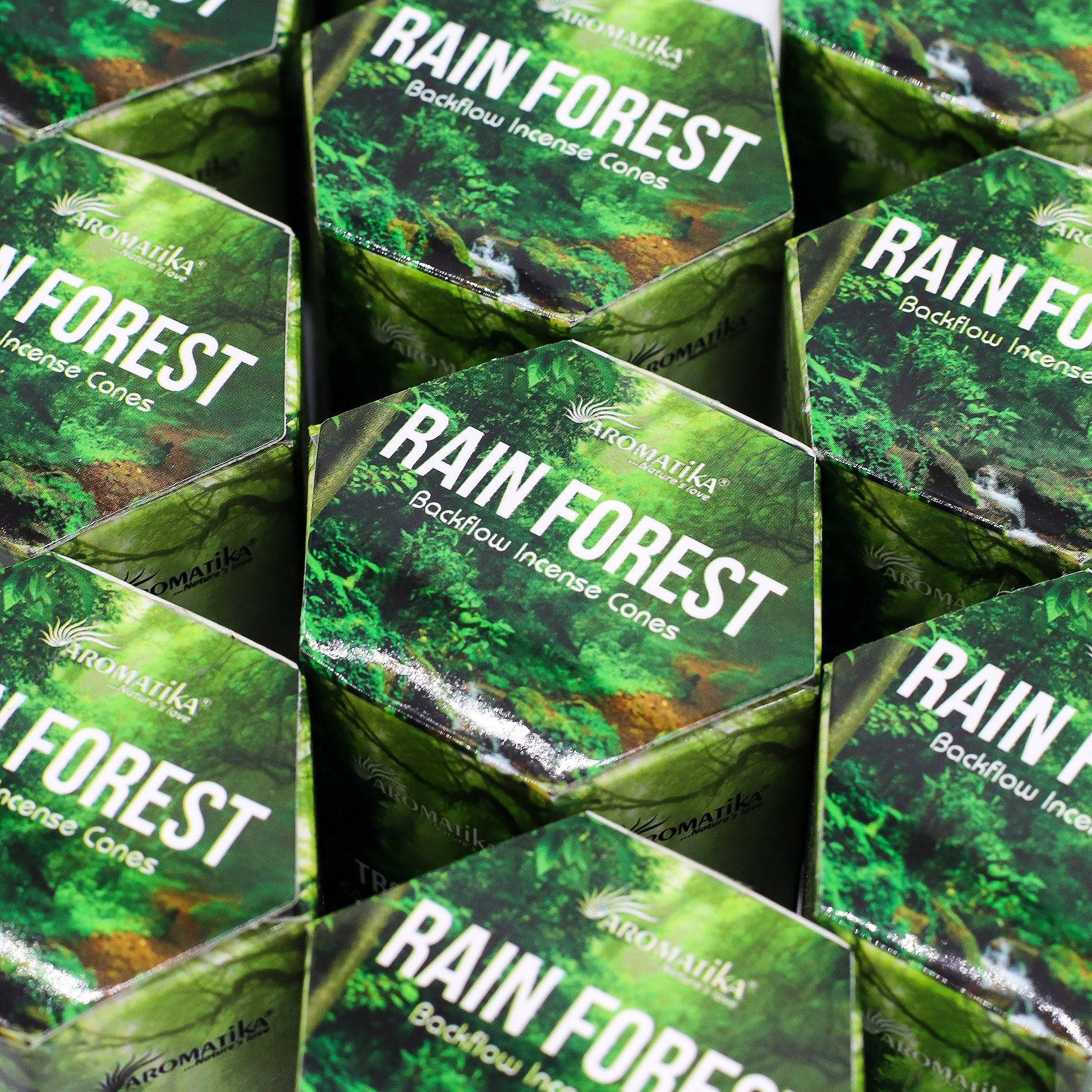 Masala Backflow Incense pack of 10 - Rain Forest
