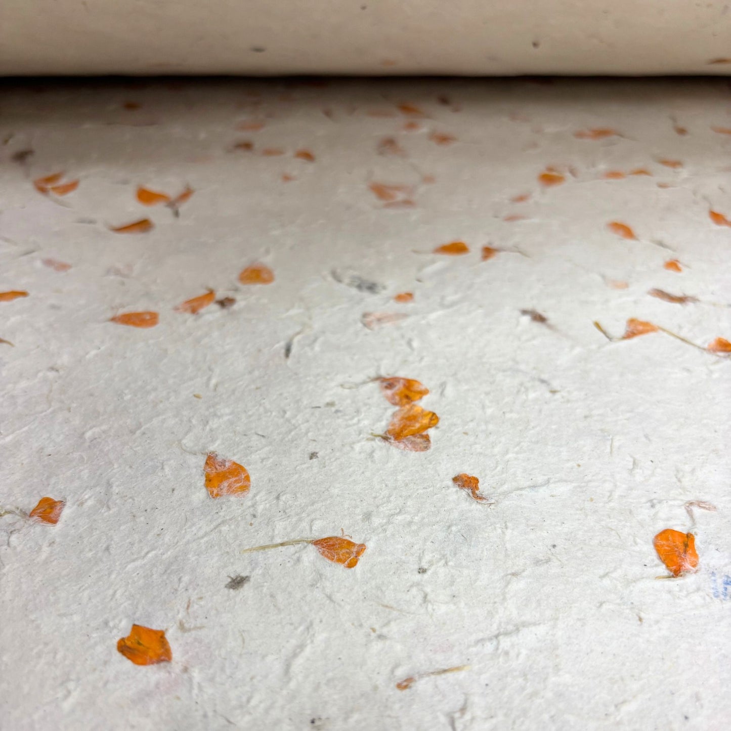 Lokta Craft / Wrapping Paper (51x76cm) - Marigold