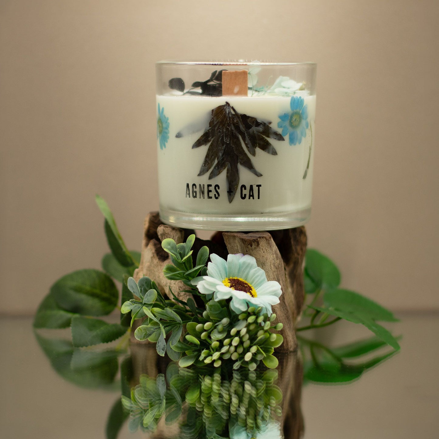 Sviečka zo sójového vosku Agnes + Cat Botanical - morská soľ a mach