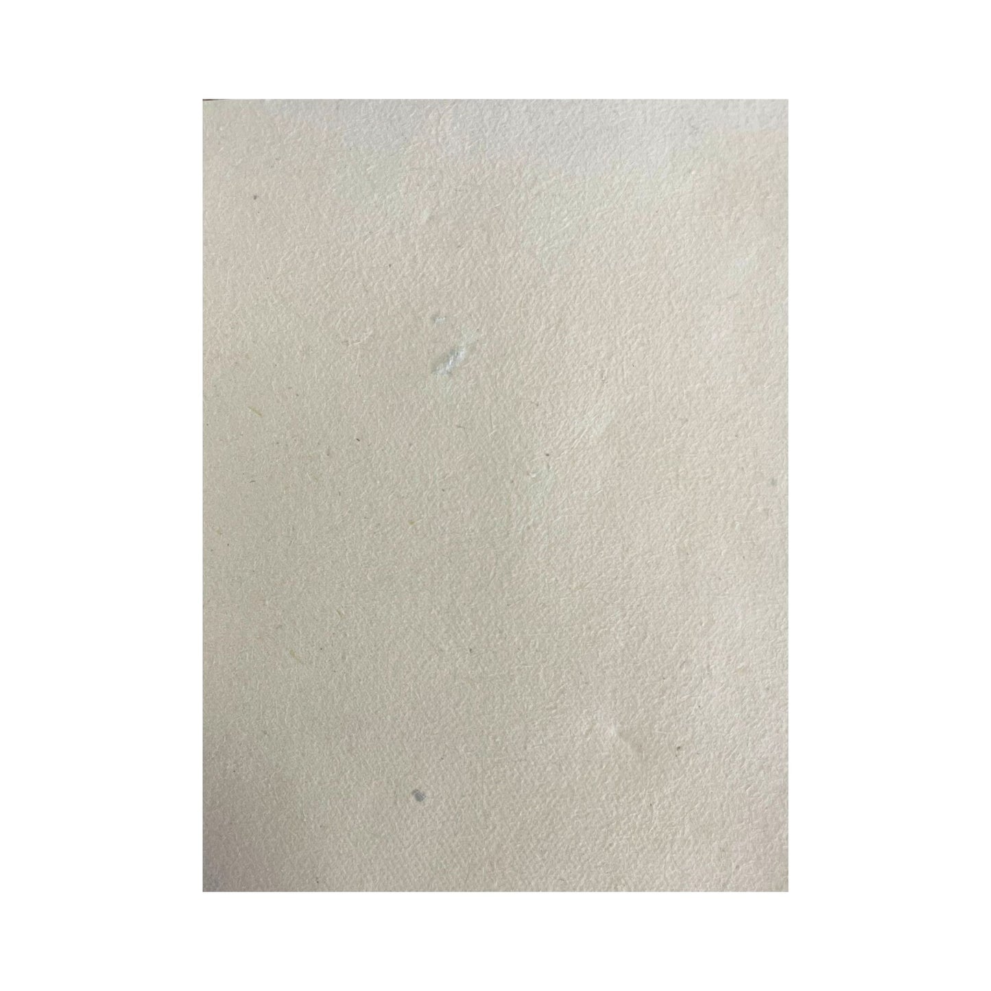 Lokta Craft / Wrapping Paper (51x76cm) - 5gms Plain Paper
