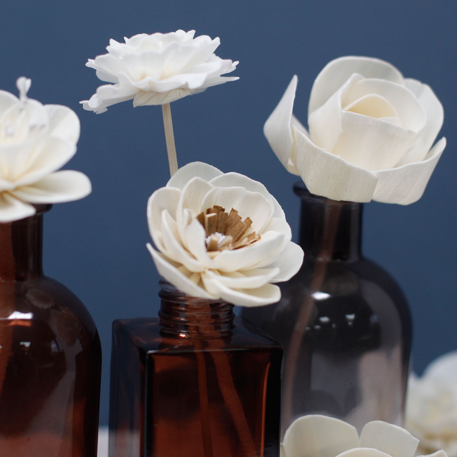Natural Diffuser Flowers - Small Poppy on String