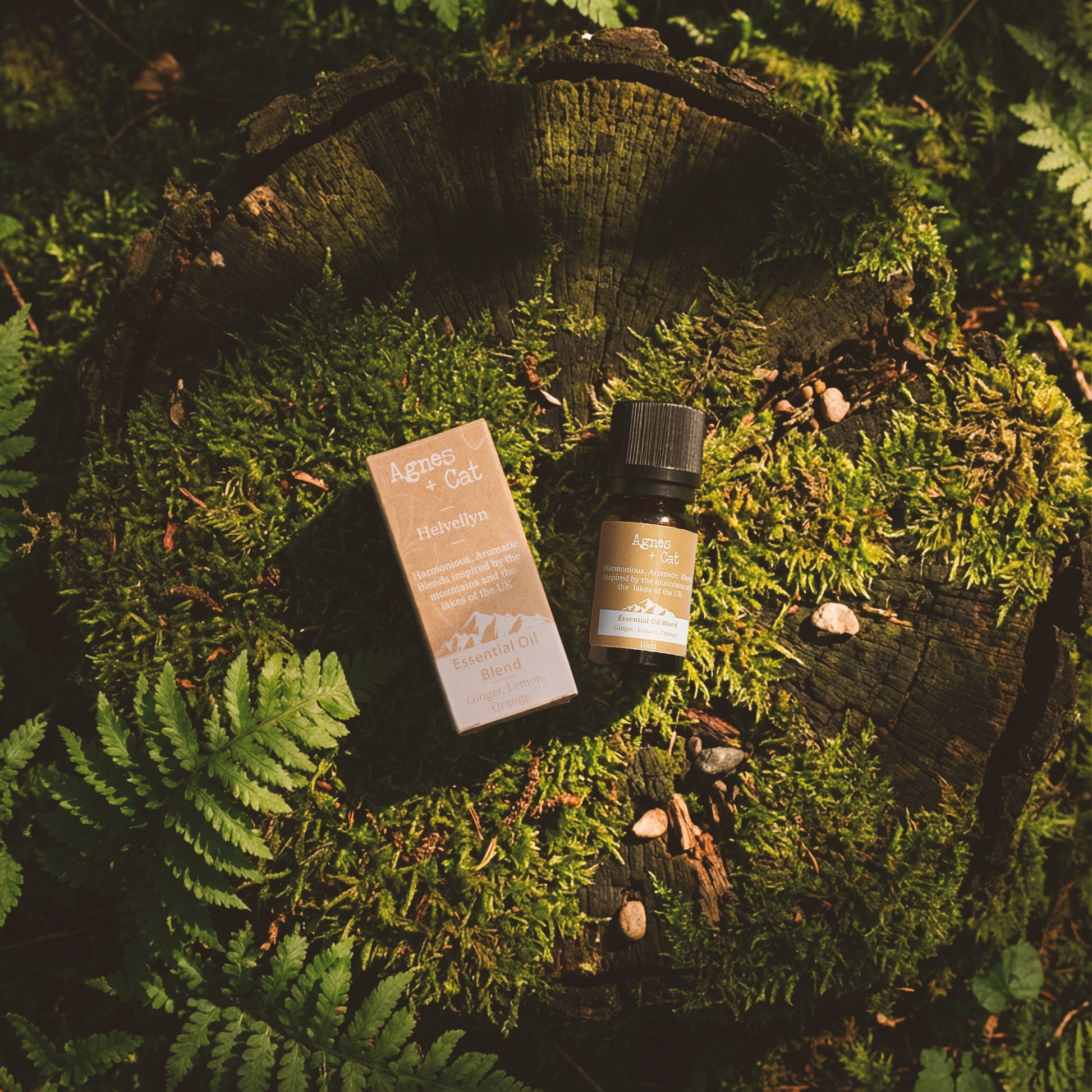 Essential Oil Blend - Windermere - Lemon, Tea Tree & Peppermint