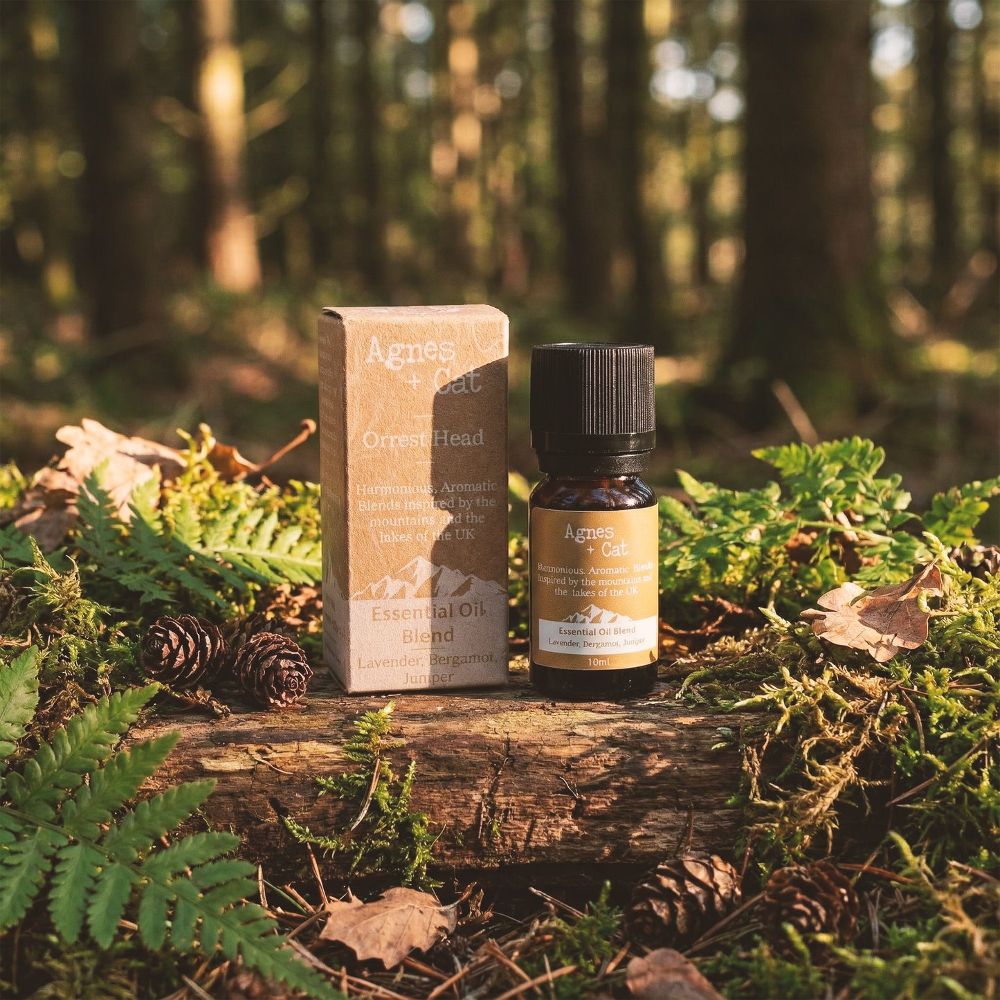 Essential Oil Blend - Great Gable - Eucalyptus, Ravensara & Corn Mint