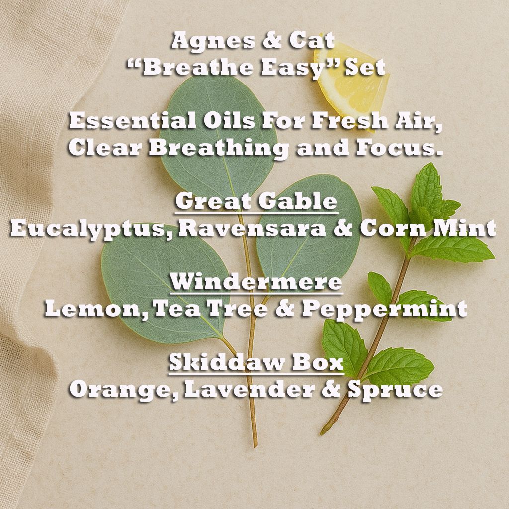 Agnes & Cat - Breathe Easy Set Of 3 Essential Oil Blends