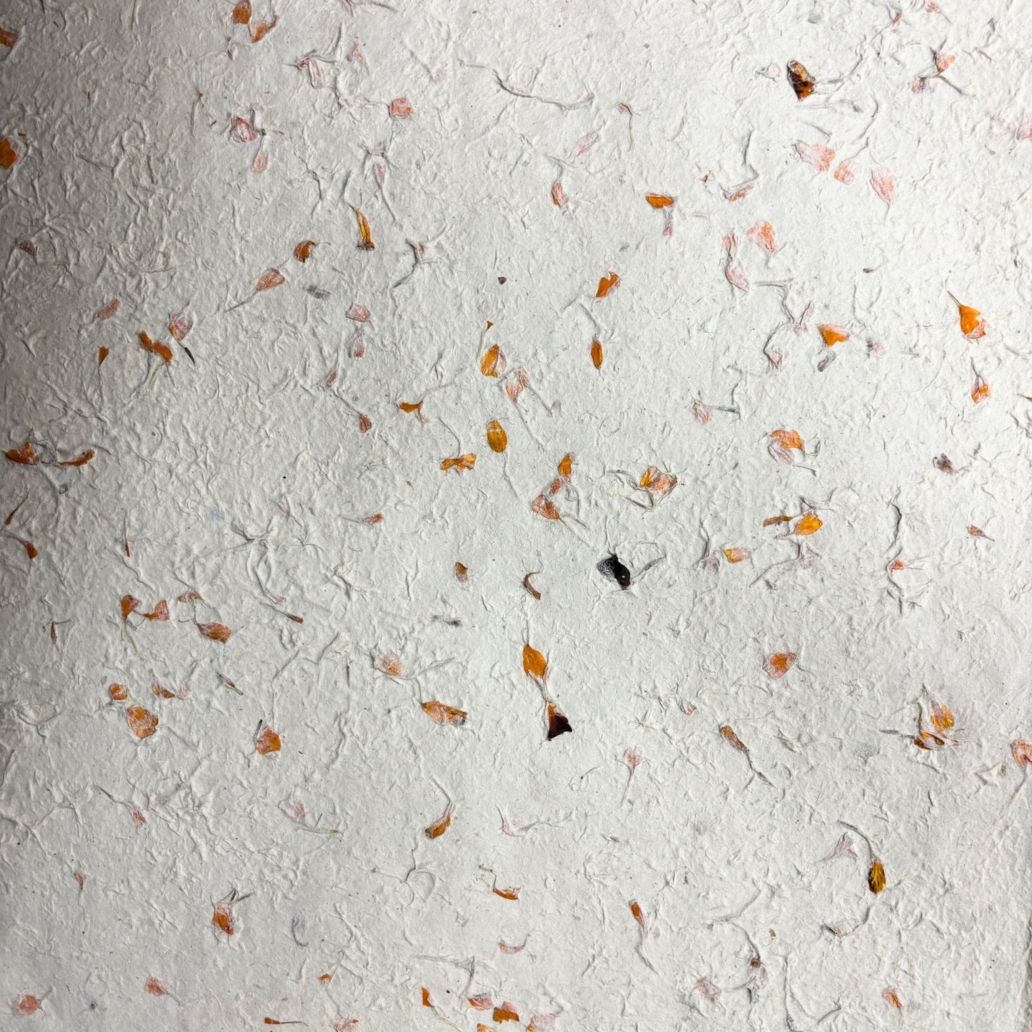Lokta Craft / Wrapping Paper (51x76cm) - Marigold