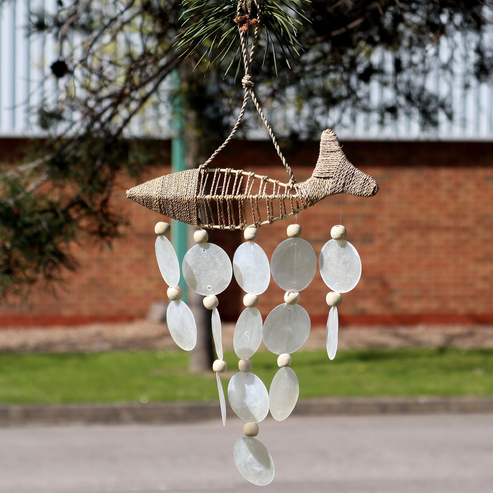 String Fish and Natural Copis Drop