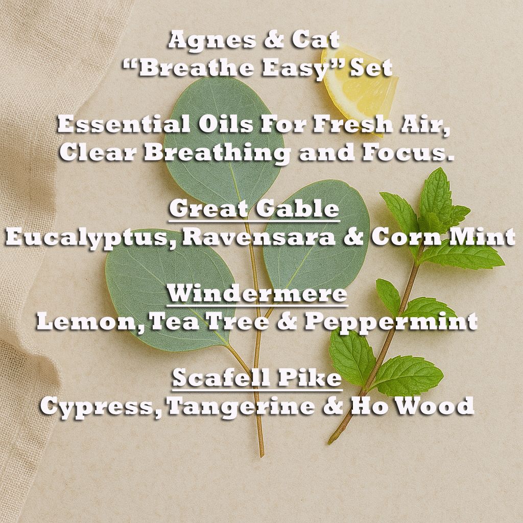 Agnes & Cat - Breathe Easy Set Of 3 Essential Oil Blends