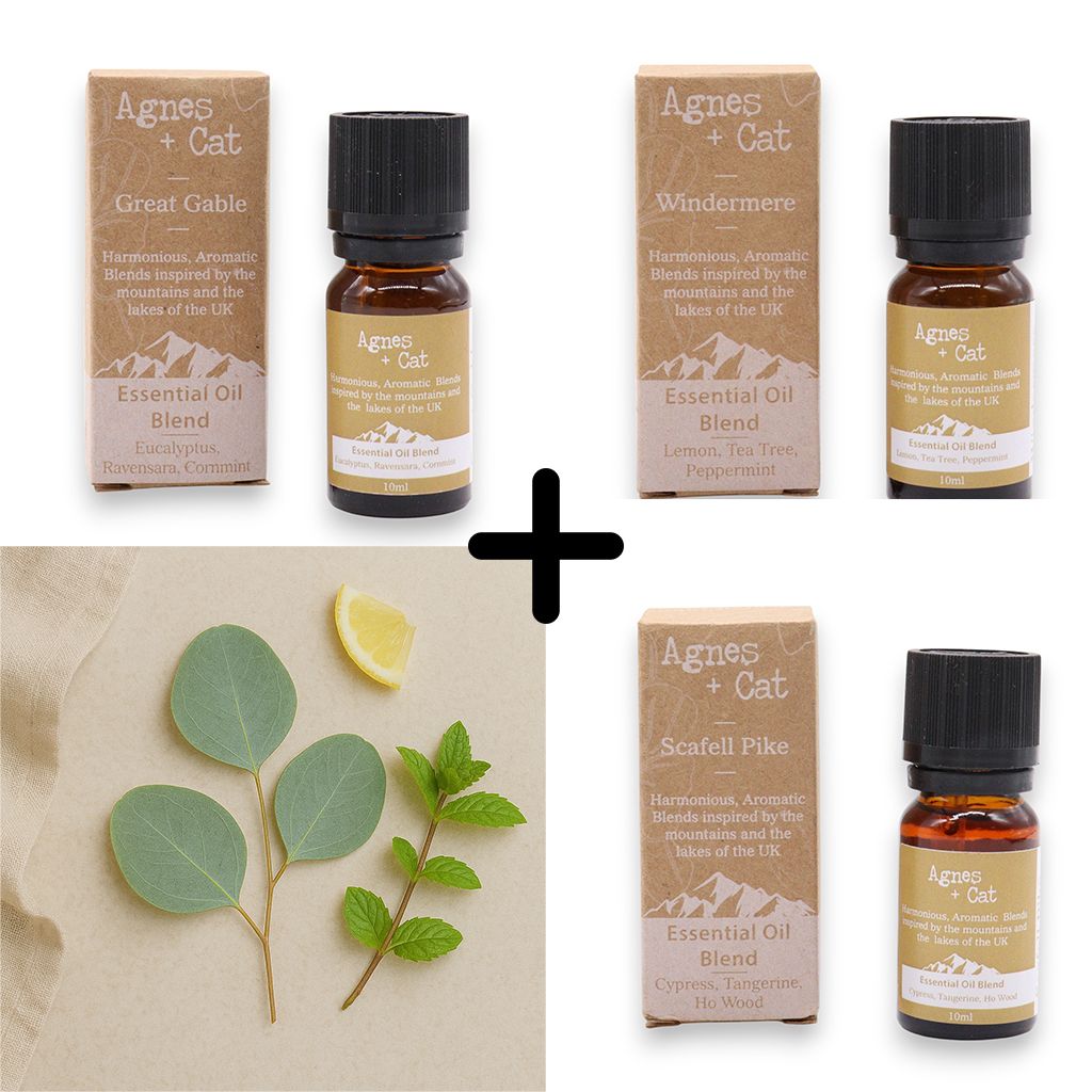 Agnes & Cat - Breathe Easy Set Of 3 Essential Oil Blends