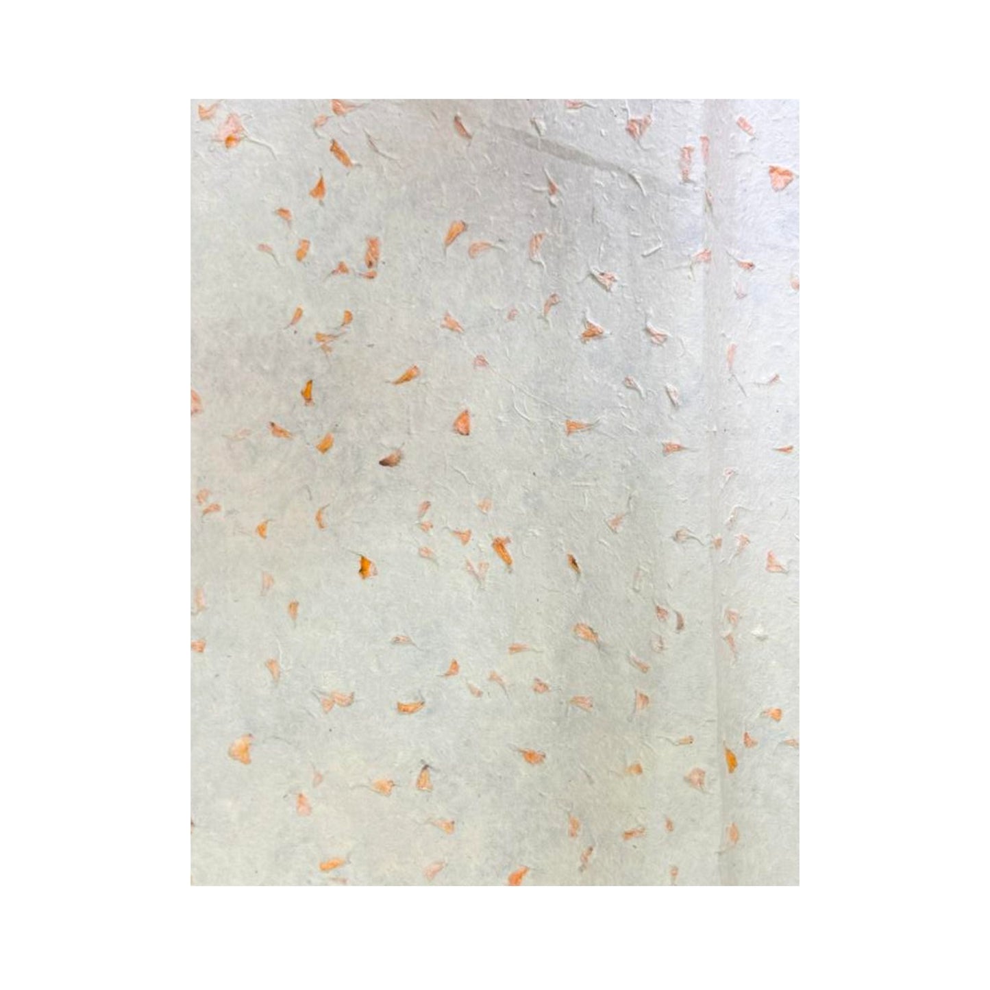 Lokta Craft / Wrapping Paper (51x76cm) - Marigold